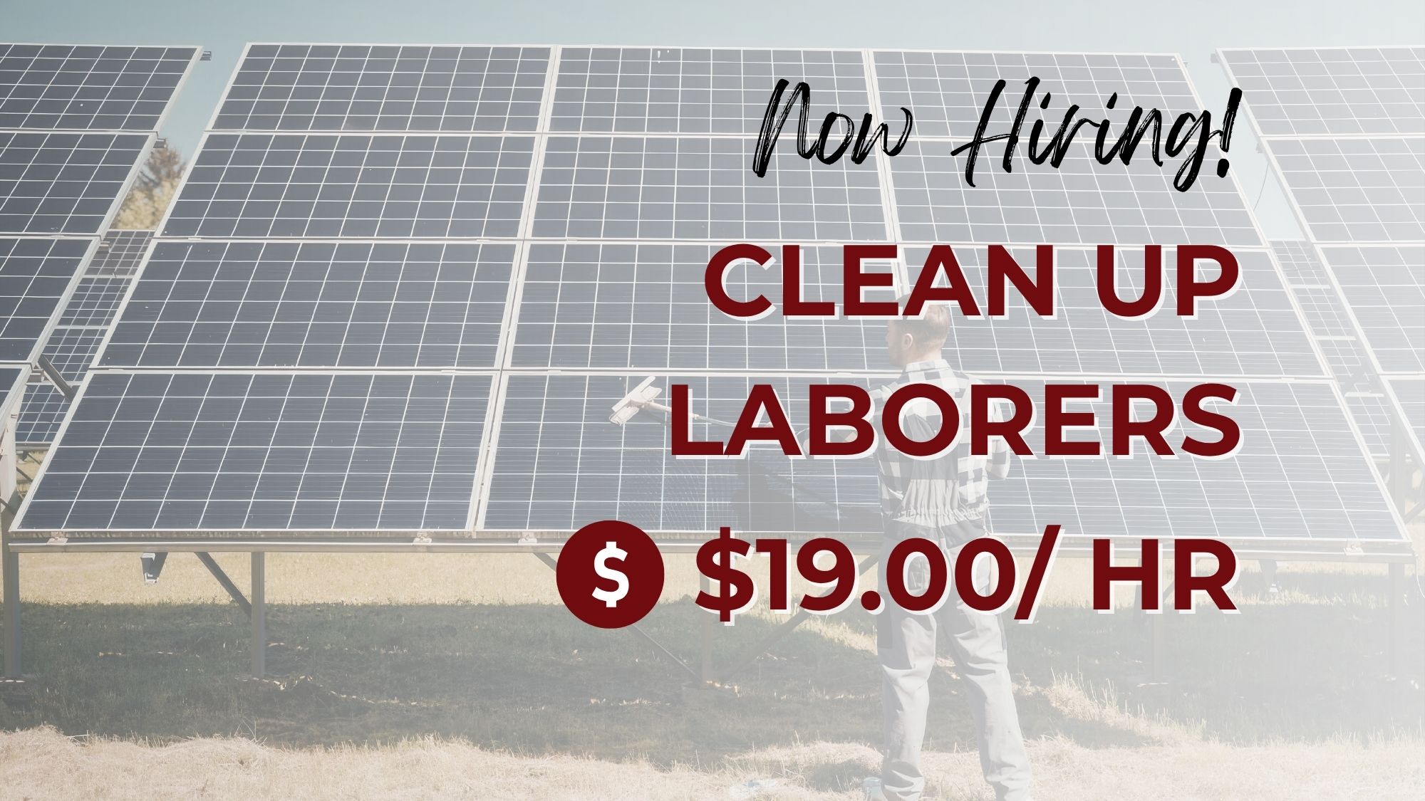 Now hiring clean up laborers at $19.00 per hour, featuring a worker cleaning large solar panels at an outdoor solar energy site.