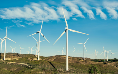 Giving Wind Turbine Blades a Second Life Through Cement Manufacturing