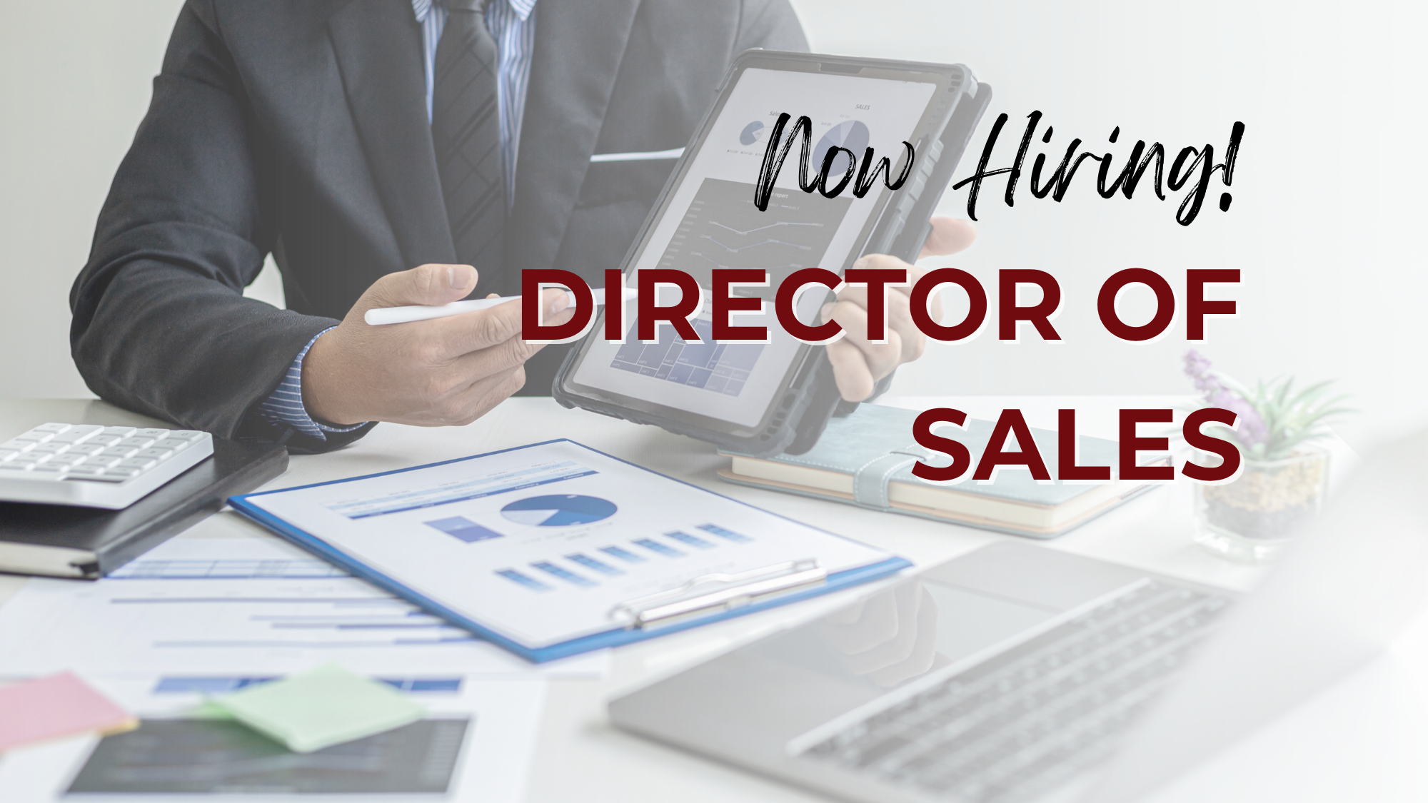 Photo of a man at a desk showing graphs on a tablet. Overlaying text reads "Now Hiring! Director of Sales."
